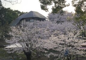 春休み期間の営業について